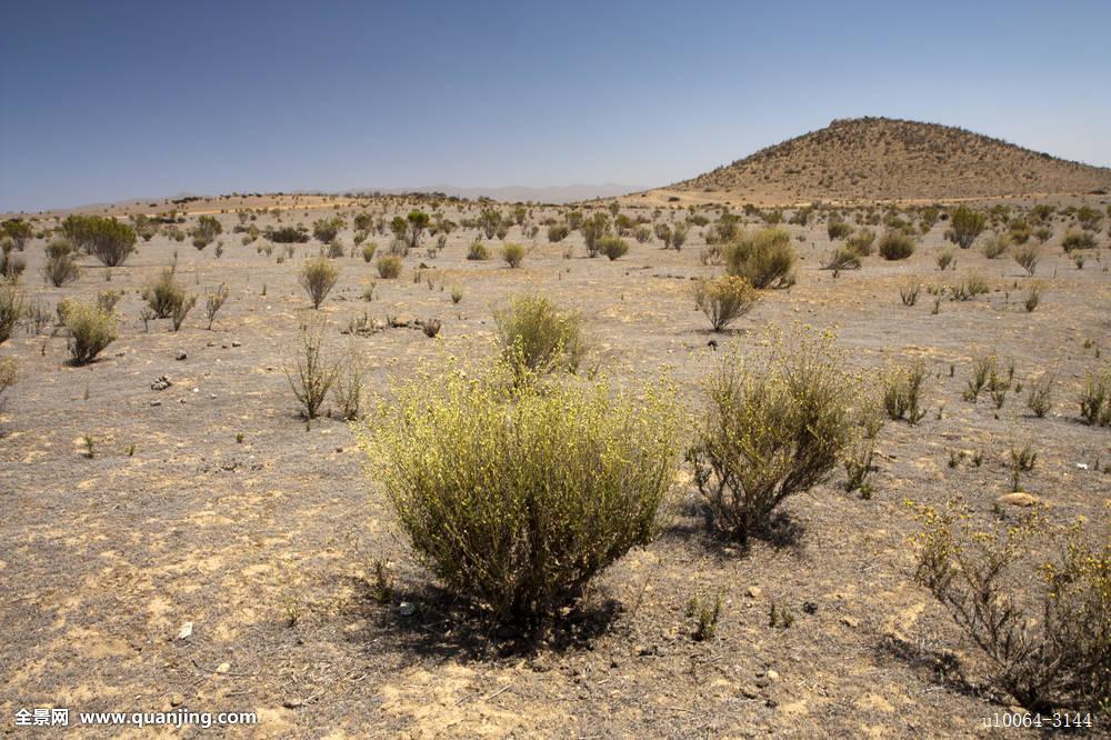  p>半荒漠(semidesert)又称半沙漠,是草原至荒漠的过渡地带.