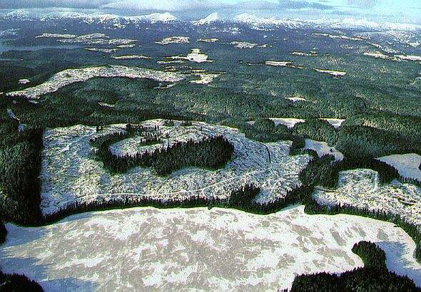 western siberian plain