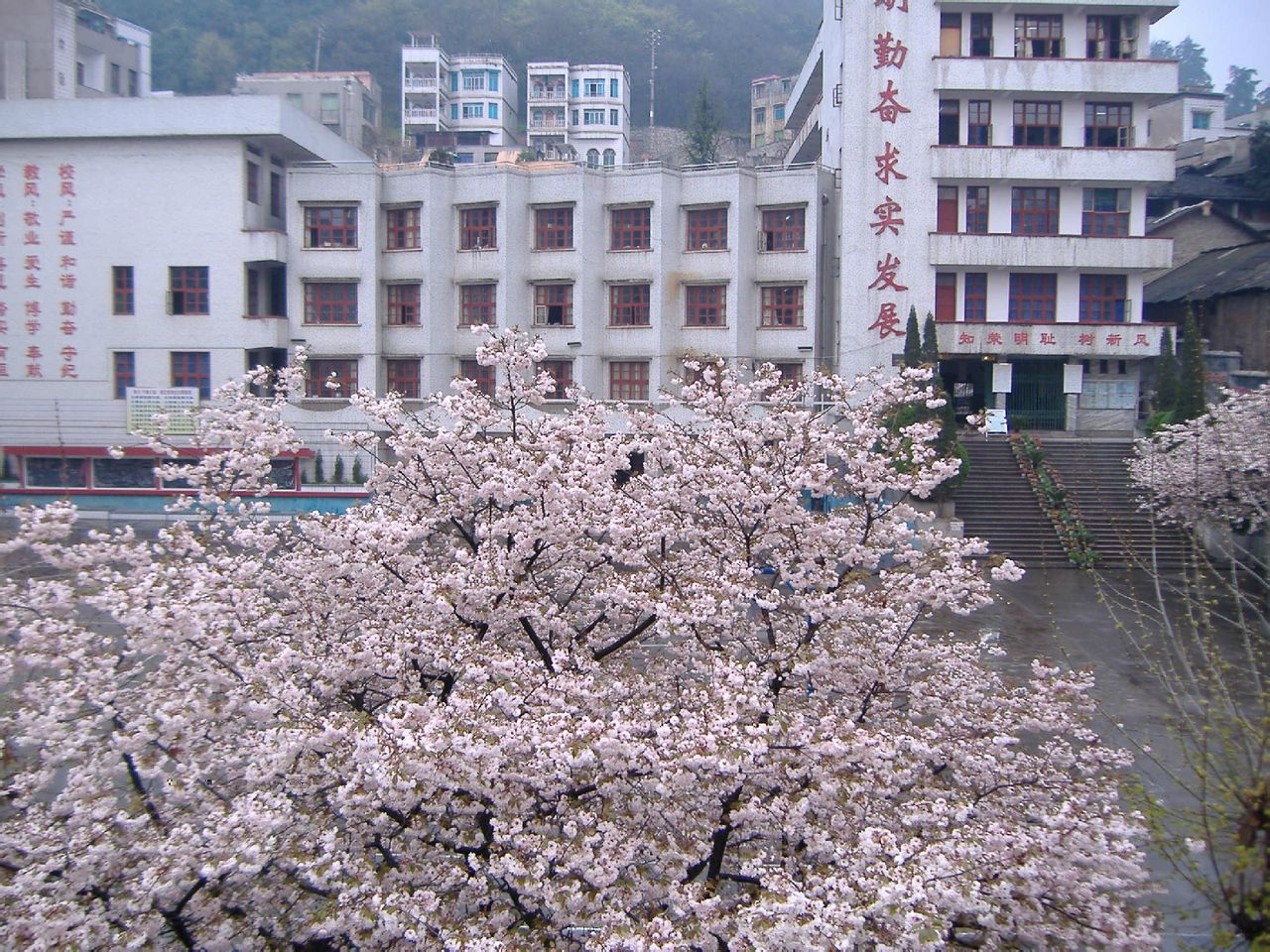  p> a href="#" data-lemmaid="1242315">贵州省遵义市第九中学 /a>