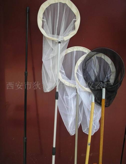 捕虫网_百度百科