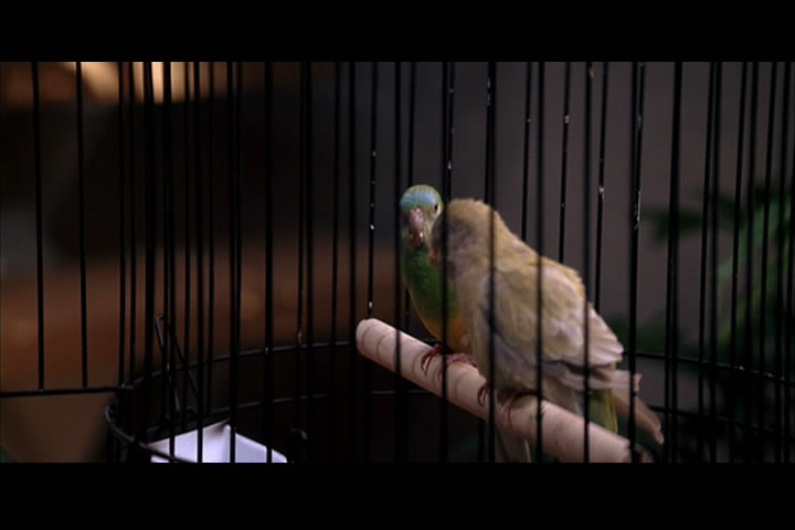 记忆裂痕paycheck(2003)