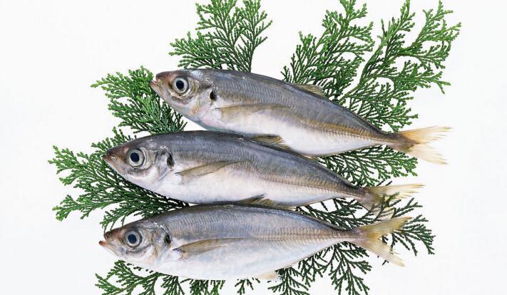  p>鬼刀鱼原产于 a target="_blank" href="/i