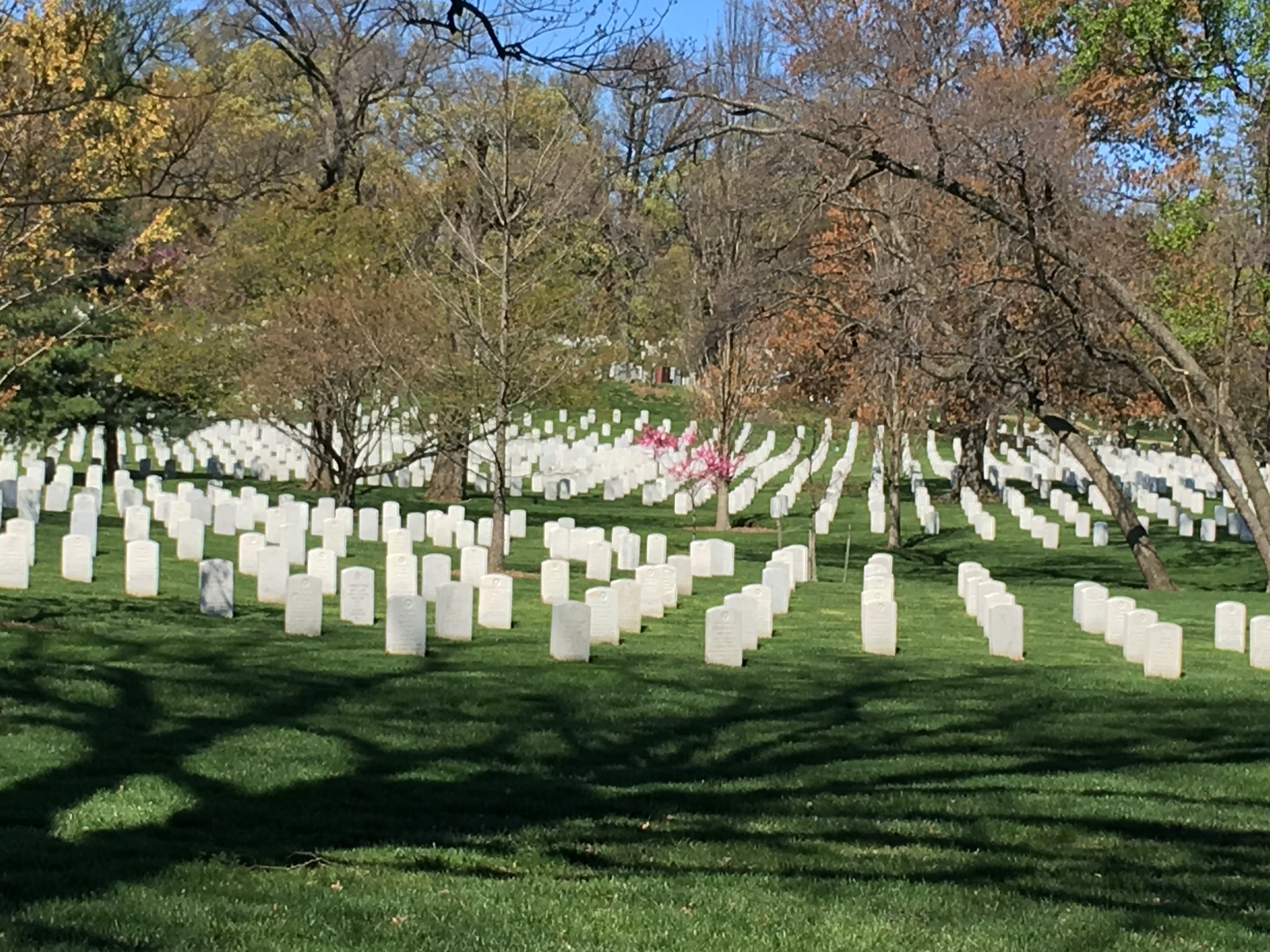 arlingtonnationalcemetery