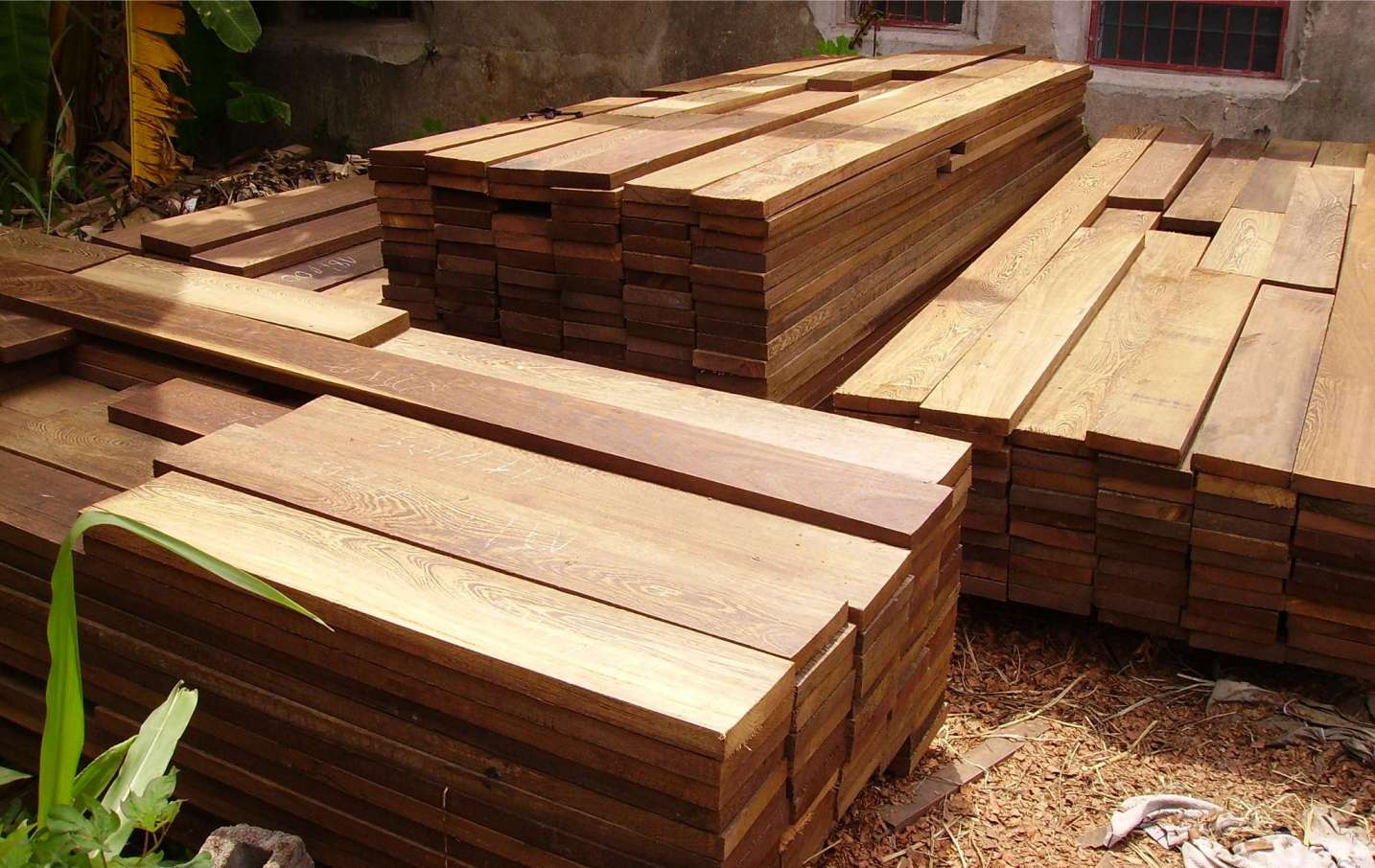  p> a href="#" data-lemmaid="6793005">非洲崖豆木 /a>, a href="#"