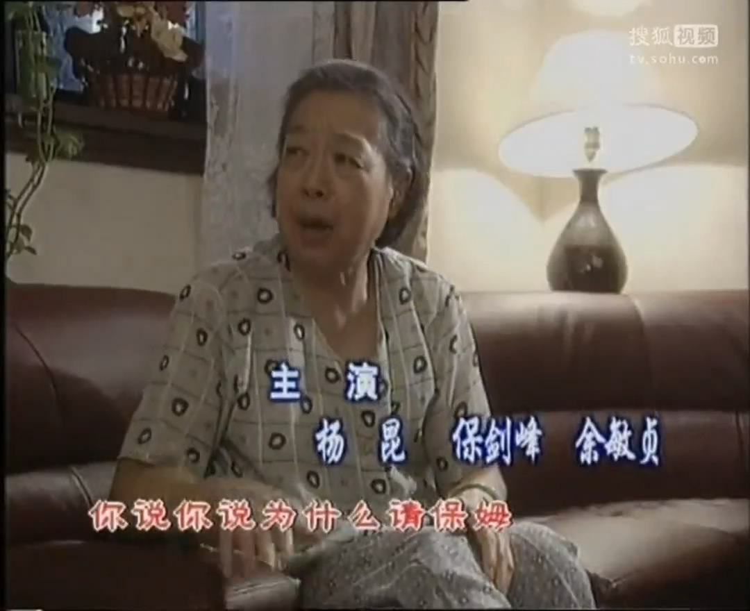 田教授家的二十个保姆