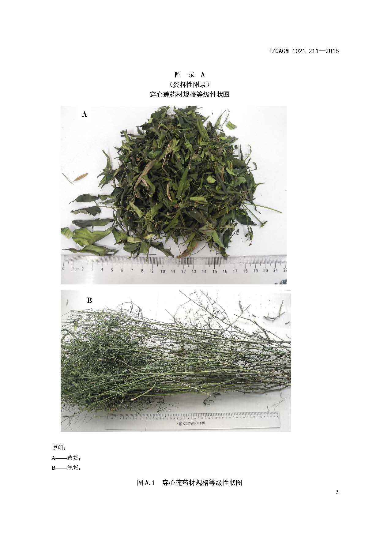  p>《中药材商品规格等级—穿心莲》(t/cacm 1021.
