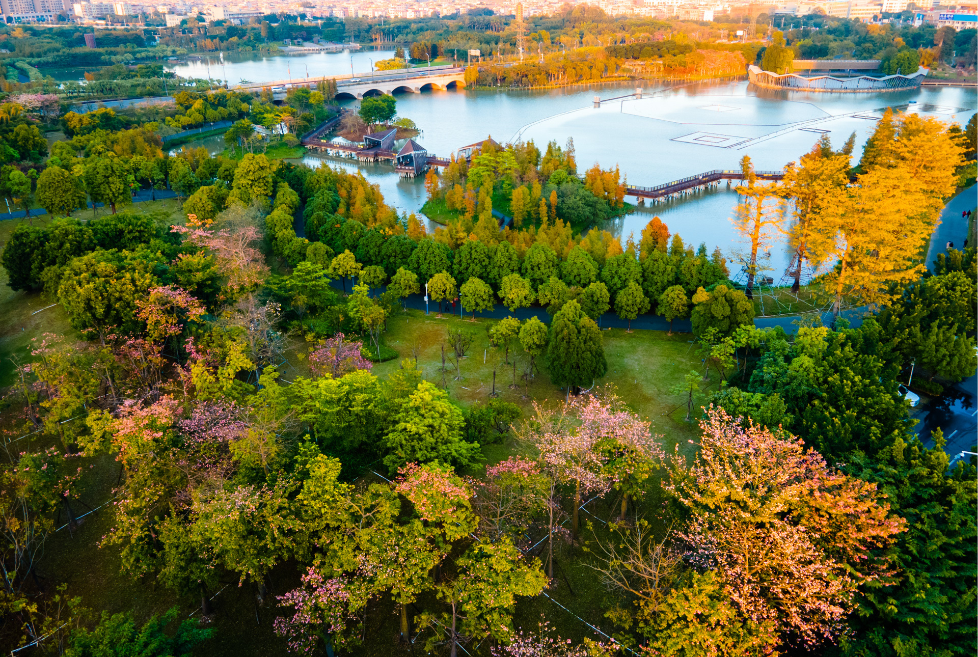 灯都生态湿地公园