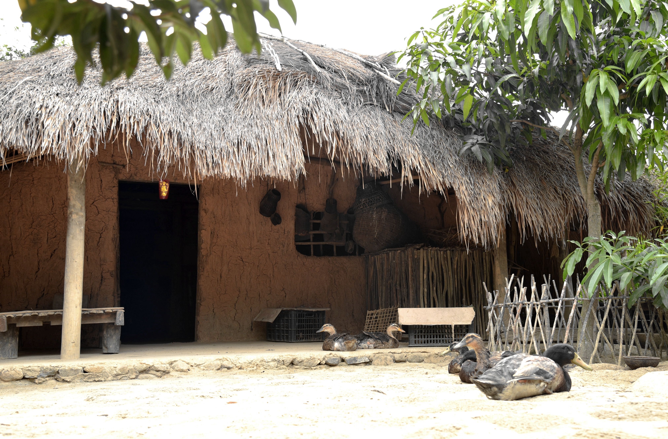  p>洲湖船形屋位于江西省抚州市黎川县武夷山北麓中段,隐藏着一座气势