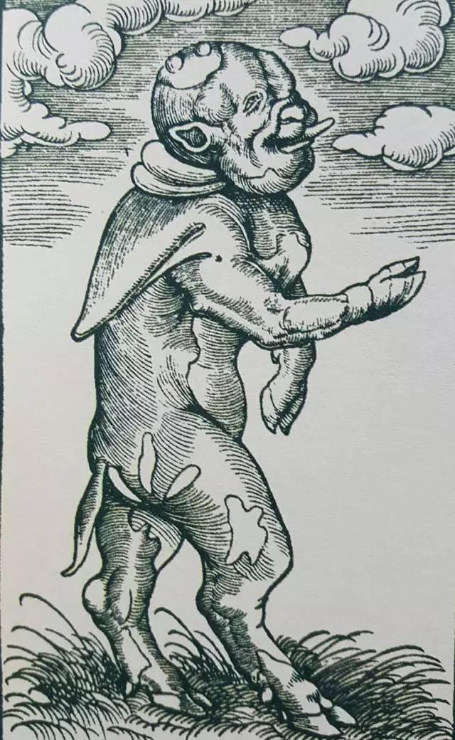 美人鱼是种双尾怪 被中世纪欧洲人玩儿坏了的怪物们 百科ta说