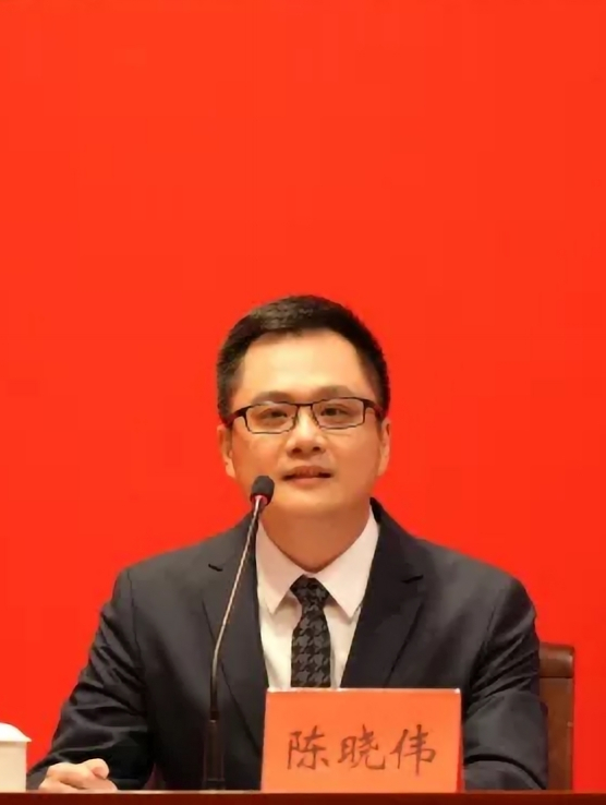 陈晓伟 全网资源