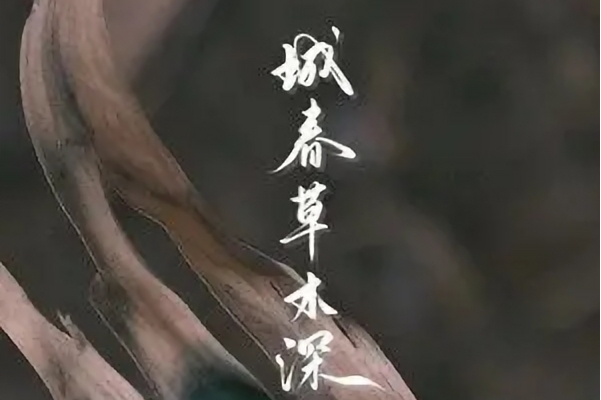 城春草木深