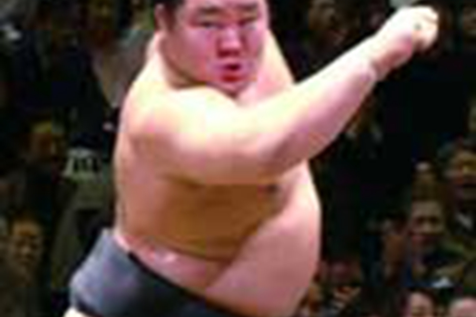 相扑力士朝青龙