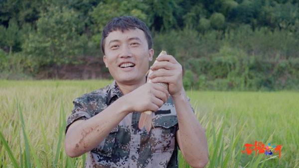 石榴花开第一季