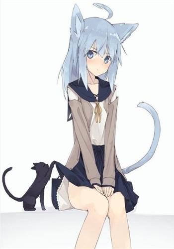 男子高中生与猫娘