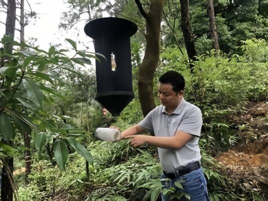 谢伟龙_百度百科