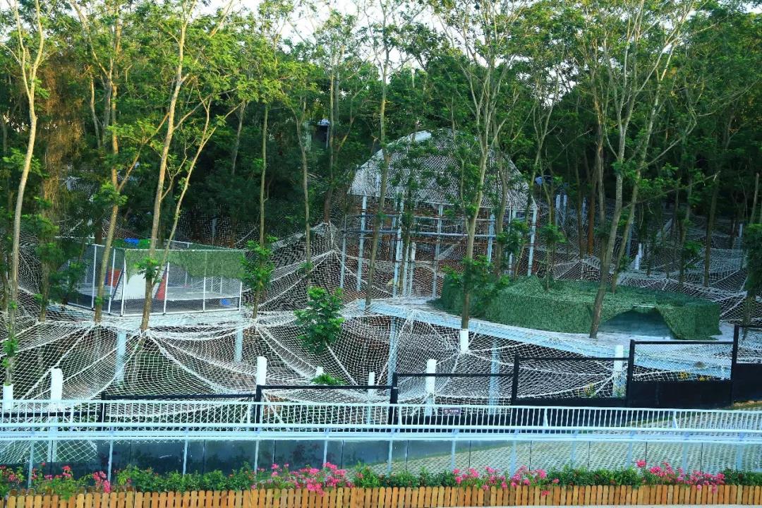 罗浮山国学院附属学校