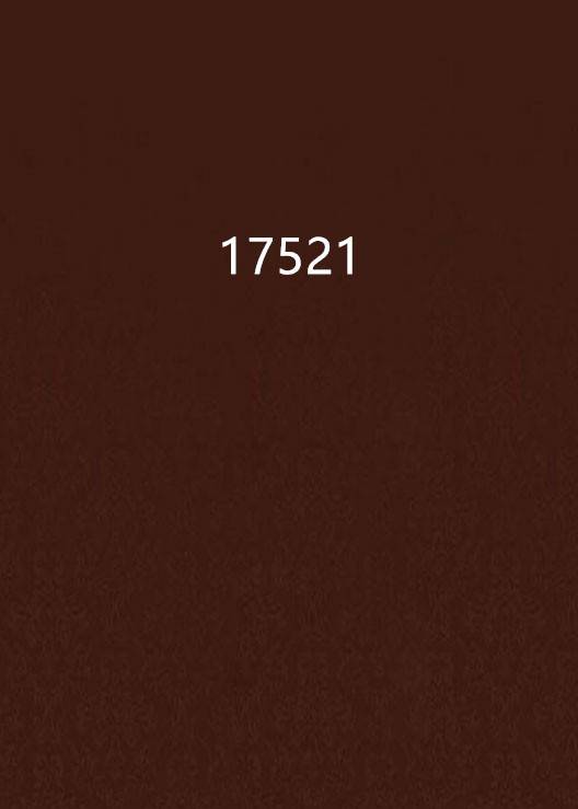 17521_百度百科