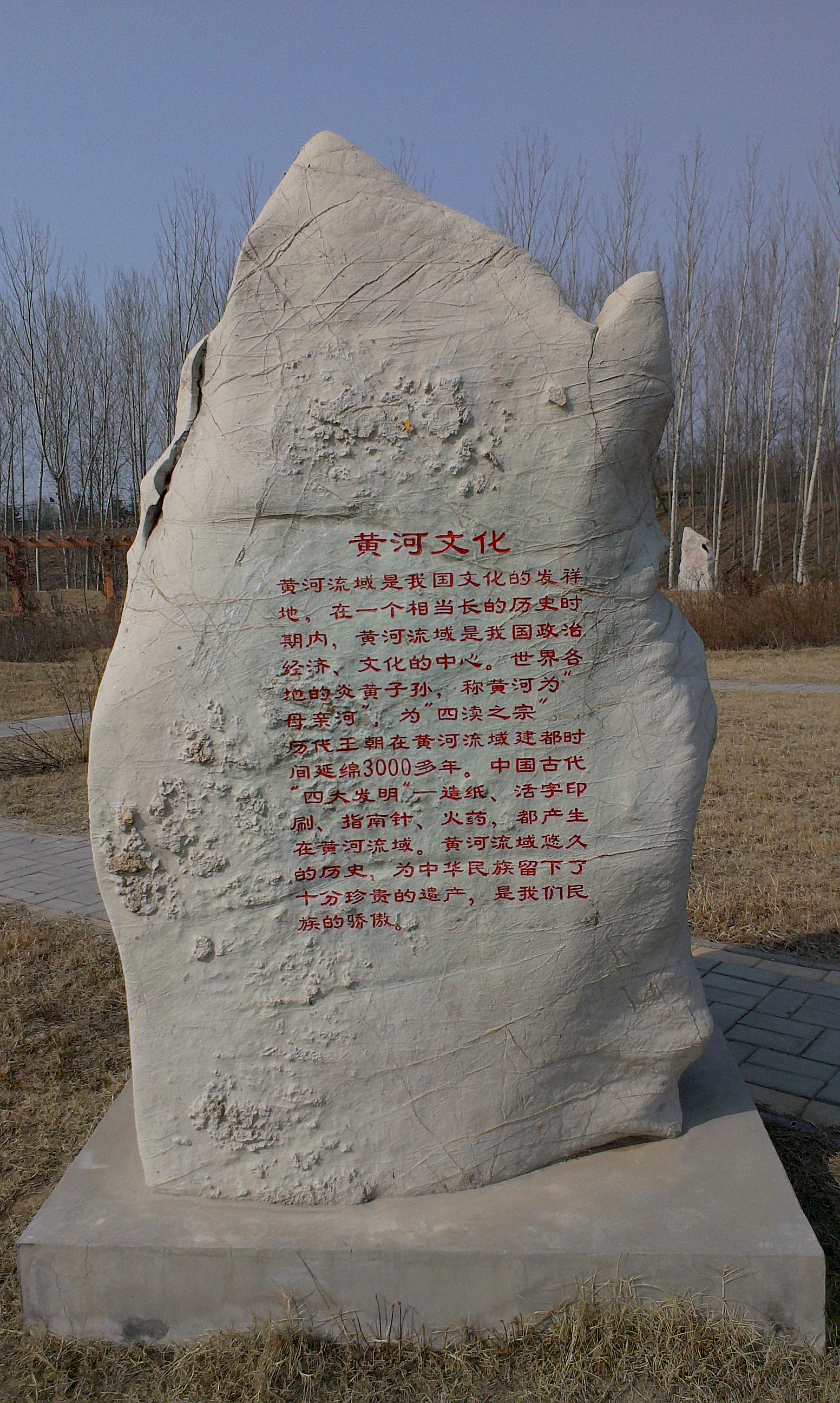 博兴打渔张森林公园