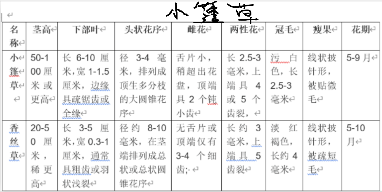 erigeron canadensis l.