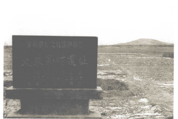  p data-id="gnx15nxfkd">大朱家村遗址,位于 a target="_blank" href