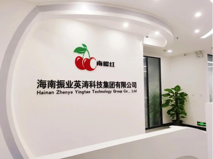 海南振业英涛科技集团有限公司