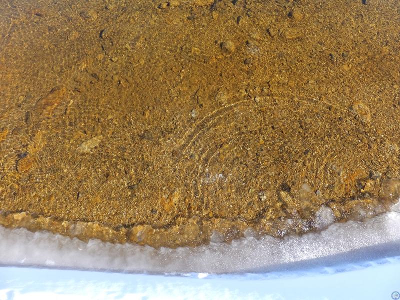 32次南极考察表层沉积物zssonz-01