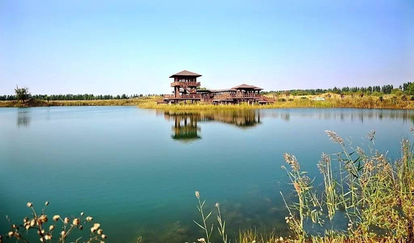 姜山湿地