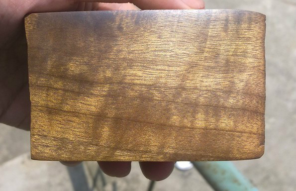 代表物种 a target="_blank" href="/item/楠木/597128" data-lemmaid