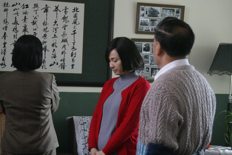 执导的都市情感题材剧, a href="#" data-lemmaid="65459">陶虹 /a>, 