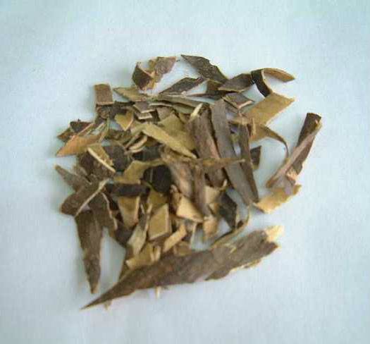 秦皮_百度百科