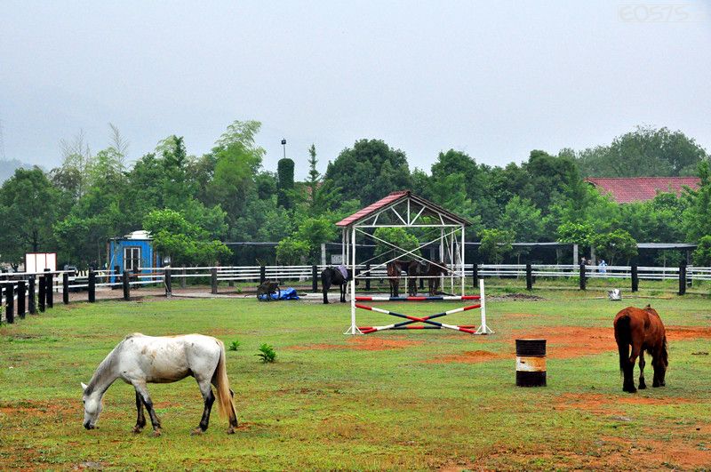 桐庐巴比松米勒庄园