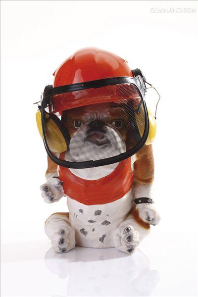 ="#" data-lemmaid="144602">英国 /a>,起源于19世纪,狗中最具有战斗