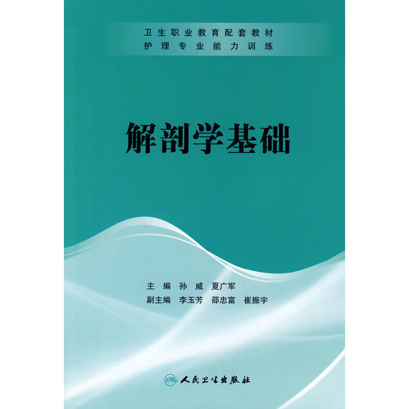 解剖学基础