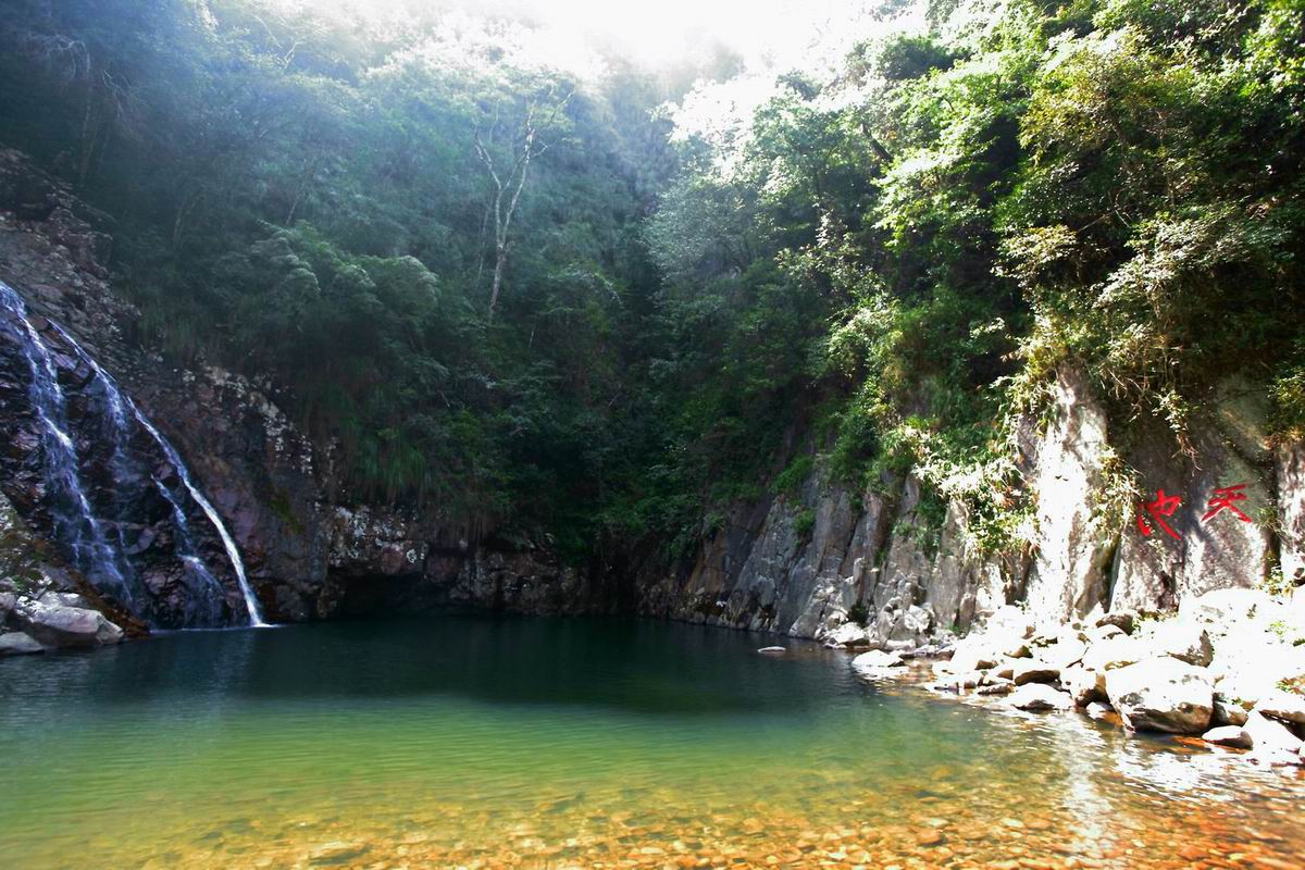 将乐龙栖山自然保护区