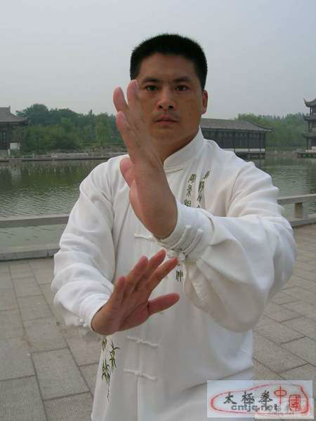  p data-id="gnatowuy1q">陈志强,1974年出生于太极拳发源地河南省