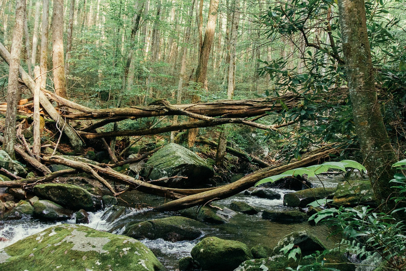 appalachian national scenic trail
