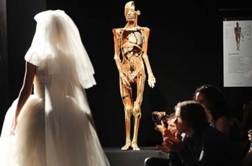 巩特尔·冯·哈根斯