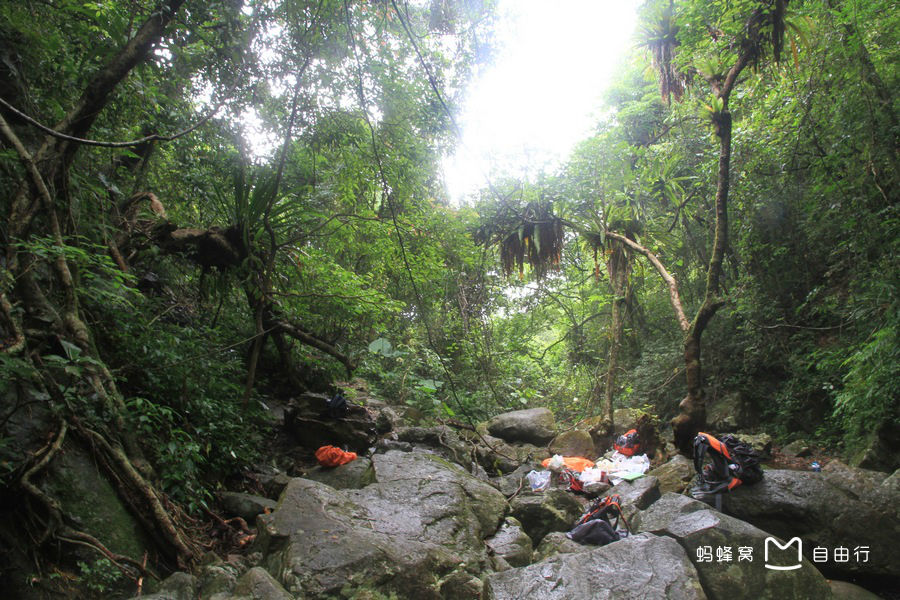  p>大帽山位于福建省龙海市白水镇,海拔794米,系闽南四大名山之一.