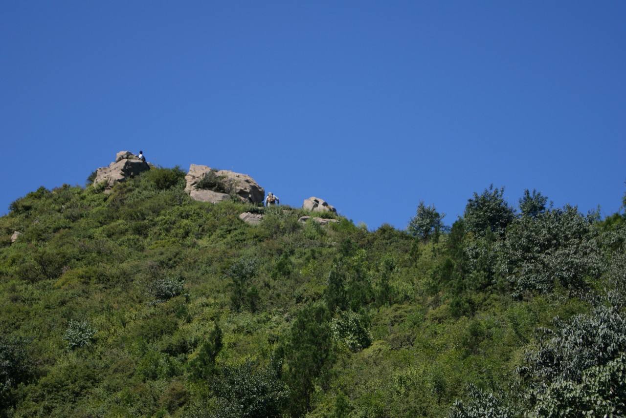  p data-id="gnx5cc492y">灵鹫山为四川省级风景名胜区,景区原始森林