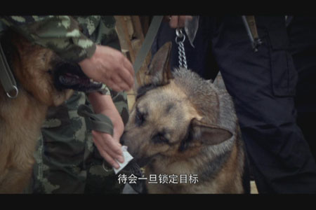 警犬赤龙