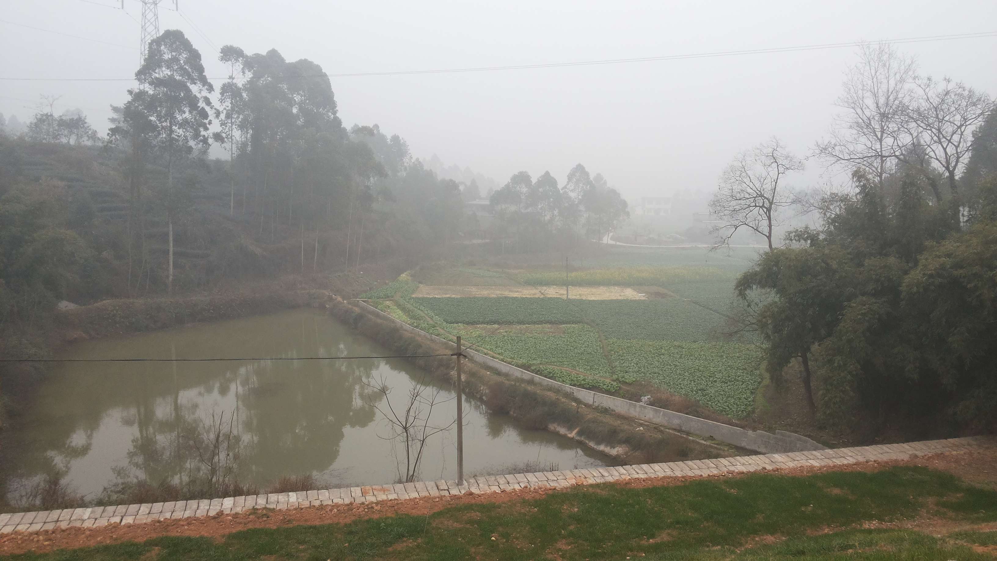  p>菜沟水库位于原四川省眉山市青神县罗波乡西坝村九组,后因行政区划