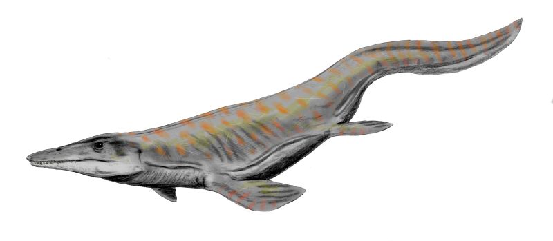  p>海王龙(tylosaurus)又名 a target="_blank"