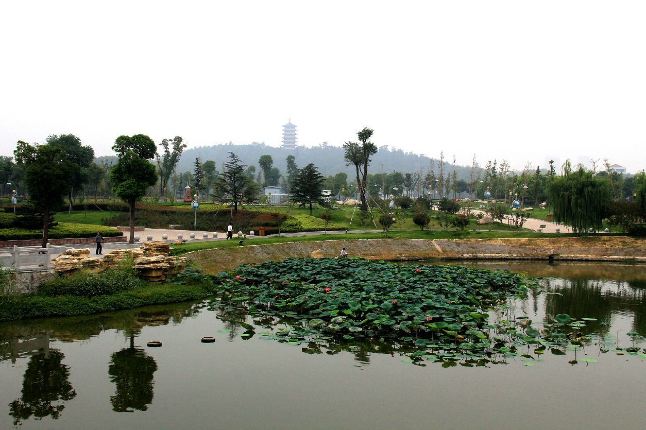  p data-id="gnwywjx85l">张公山风景区是国家aaaa景区,位于安徽省 a