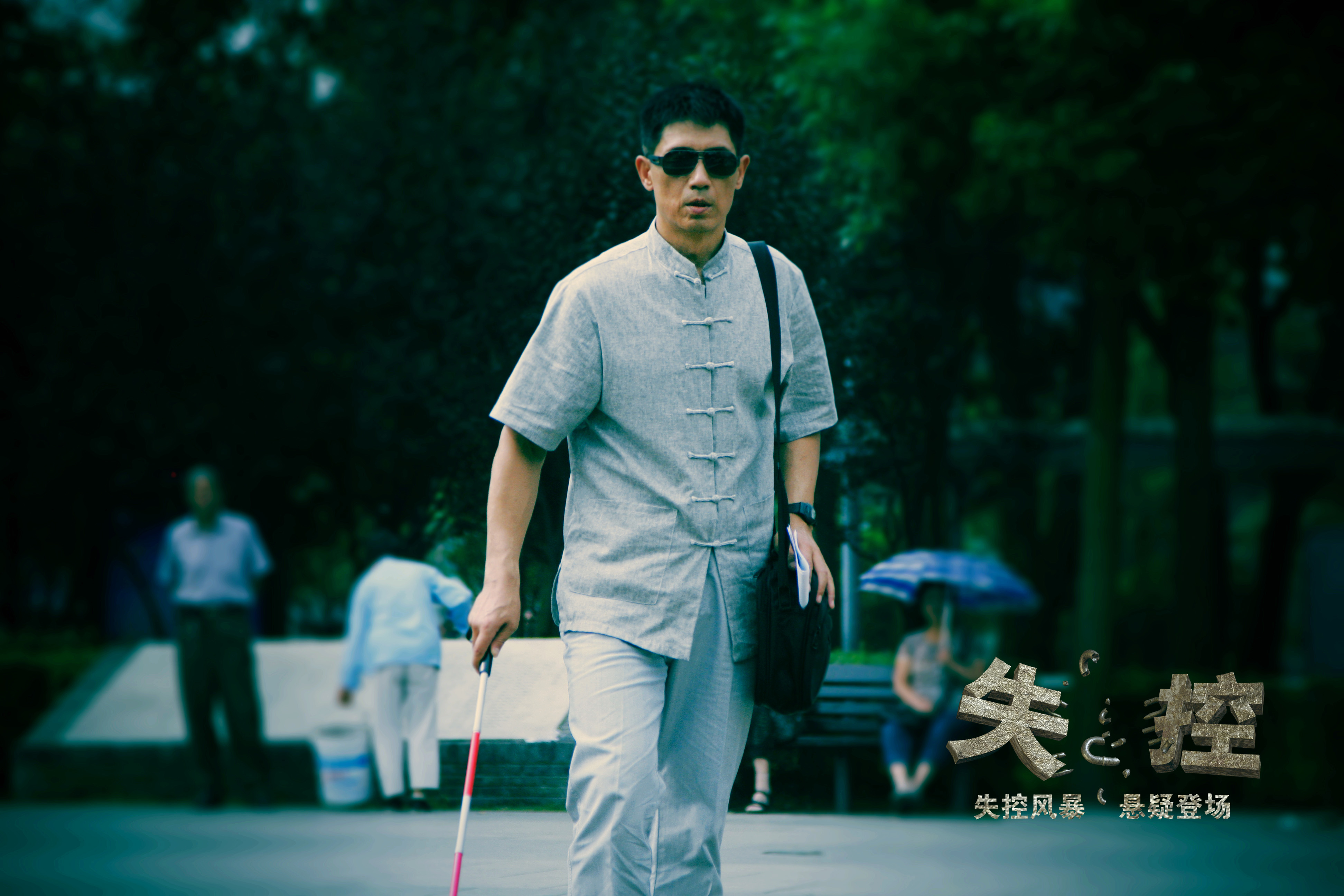 data-lemmaid="10423441">长江文艺出版社 /a>出版的图书,作者是张震