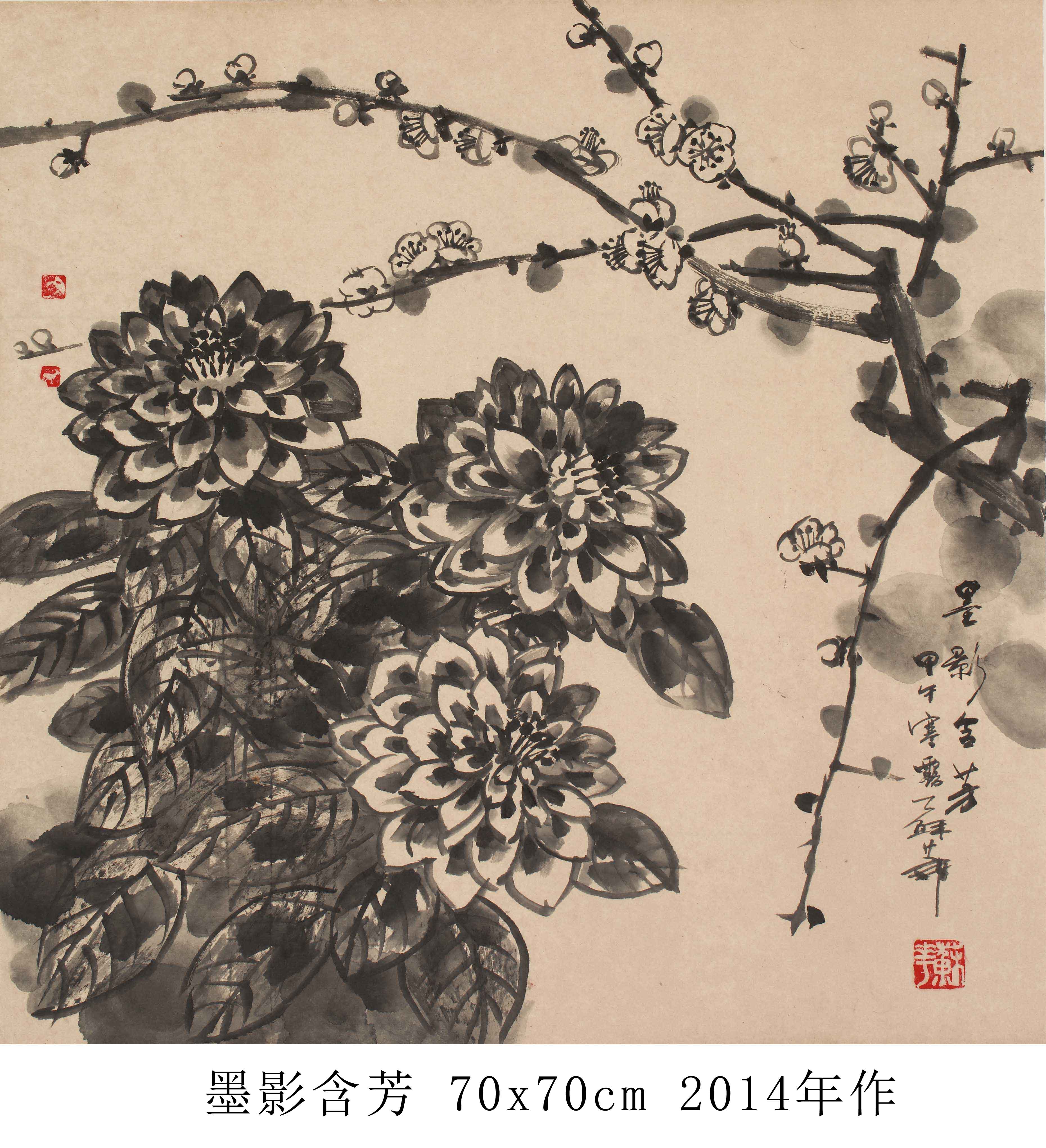 苏华