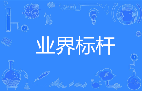 业界标杆