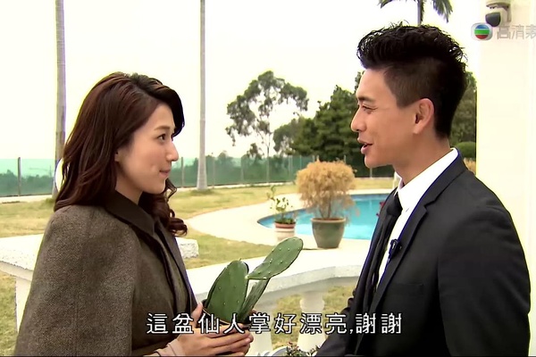  p>《护花危情》是 a href="#" data-lemmaid="7051877">香港电视广播