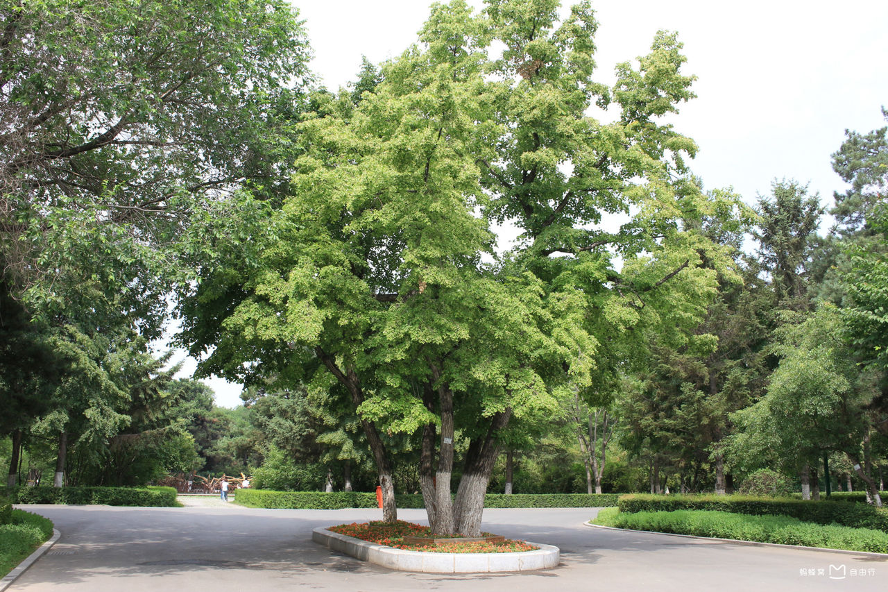 长春市动植物公园