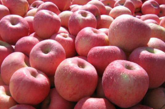 data-lemmaid="2948268">洛川县 /a>特产,全国农产品地理标志