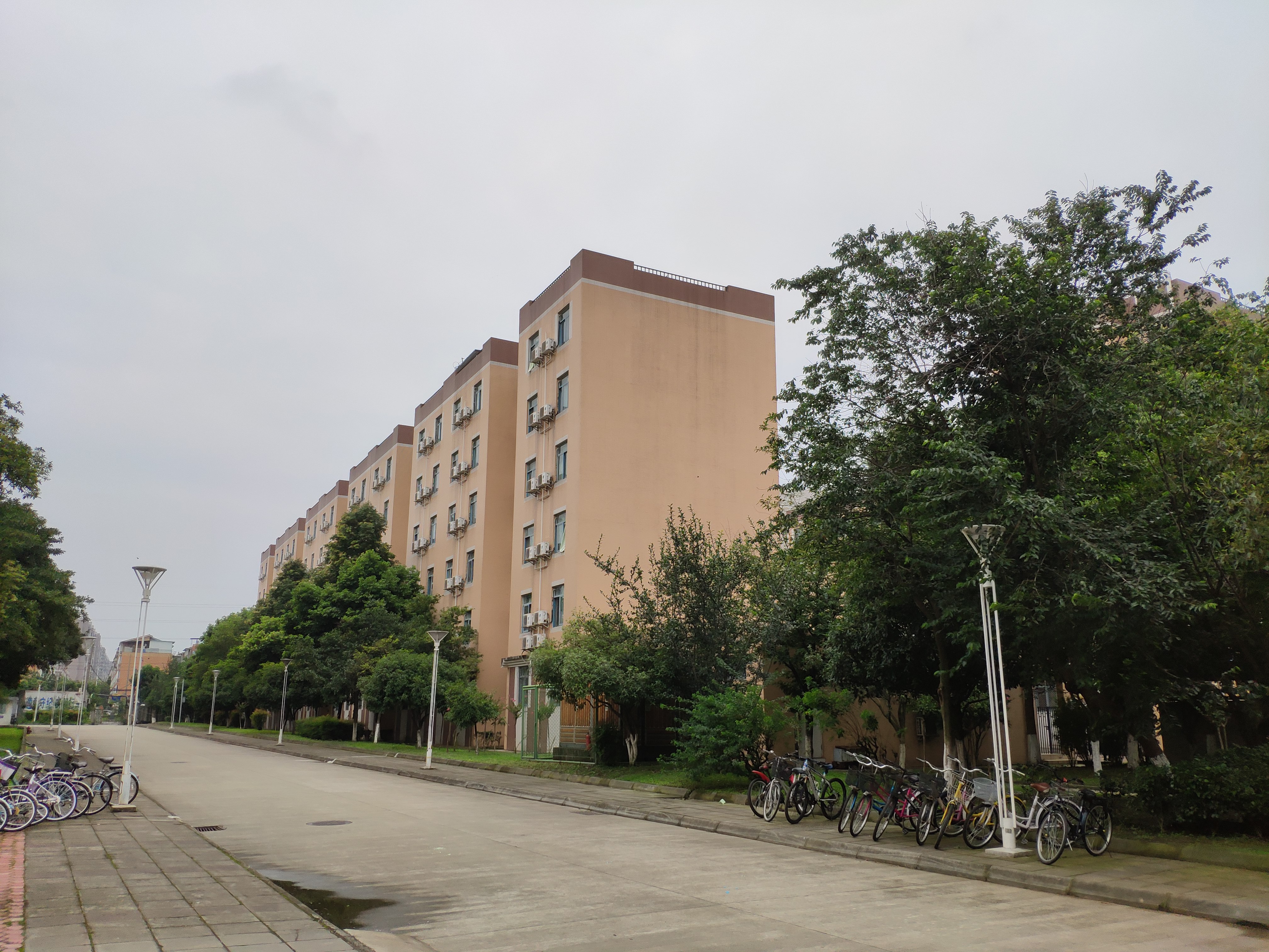 四川大学江安校区